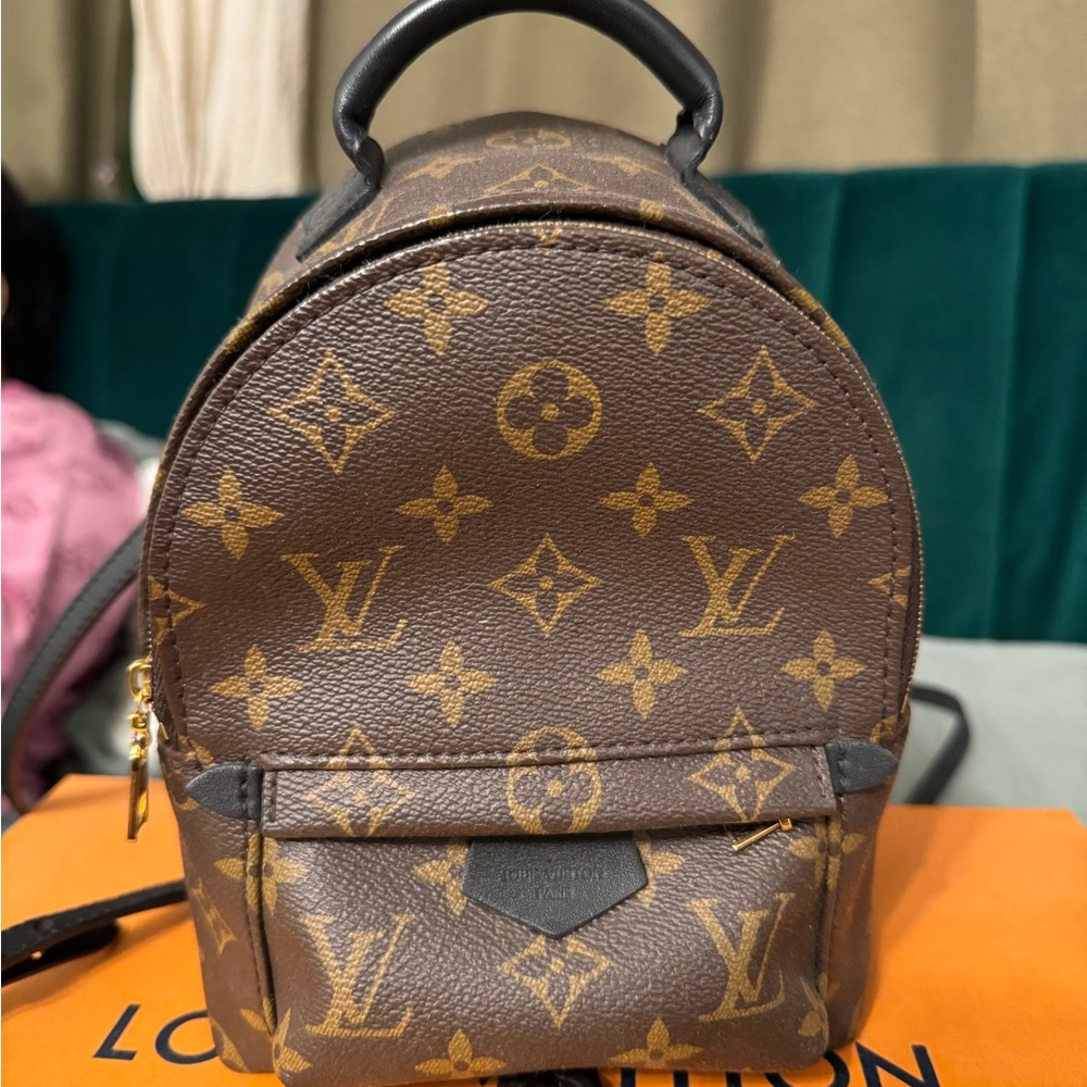 Louis Vuitton Brown Monogram Palm Springs Mini Backpack